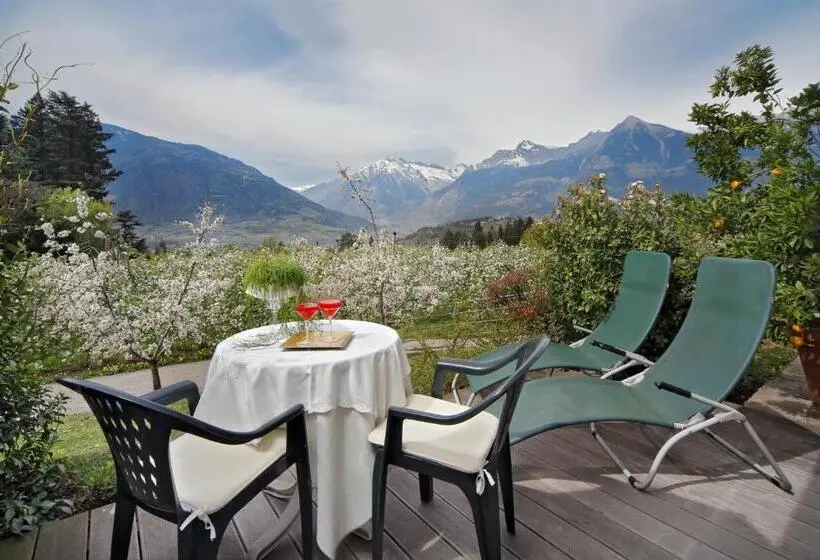 اتاق استاندارد, Pension Riedingerhof