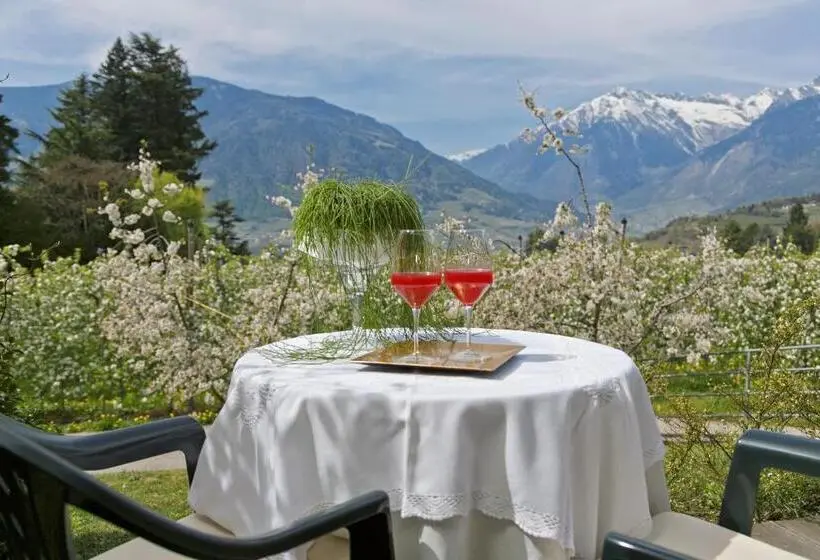 اتاق سوپریور, Pension Riedingerhof