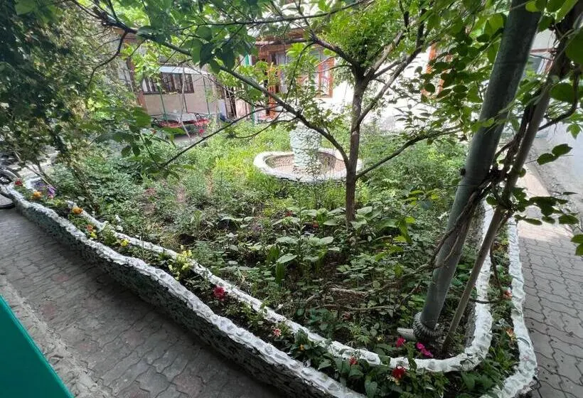 اتاق خانوادگی, Lovely Home For You