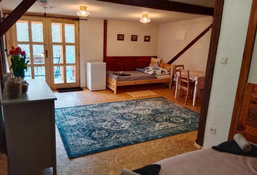 패밀리 룸, Srdečná Rodinný Penzion A Restaurace