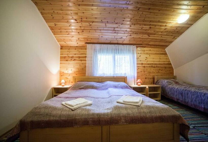 Номер Стандарт Трехместный, Pensiunea Szilas Panzió