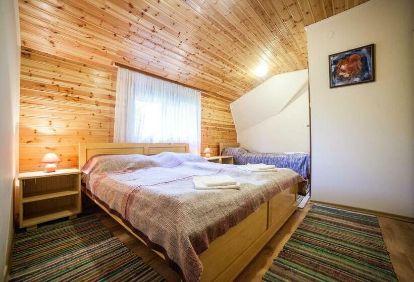 Номер Стандарт Трехместный, Pensiunea Szilas Panzió