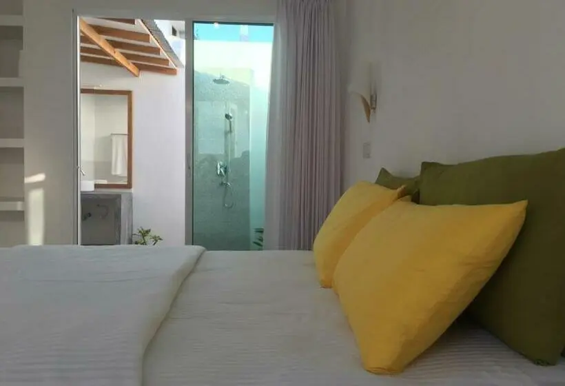 اتاق لوکس, Vaali Maldives Island Escapes & Dive