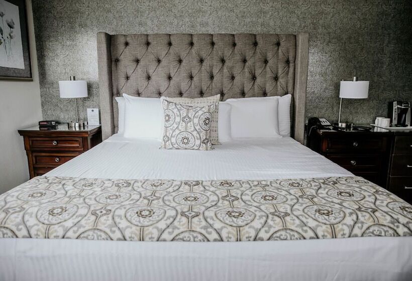 스탠다드 룸 킹사이즈 침대, Geyserville Inn