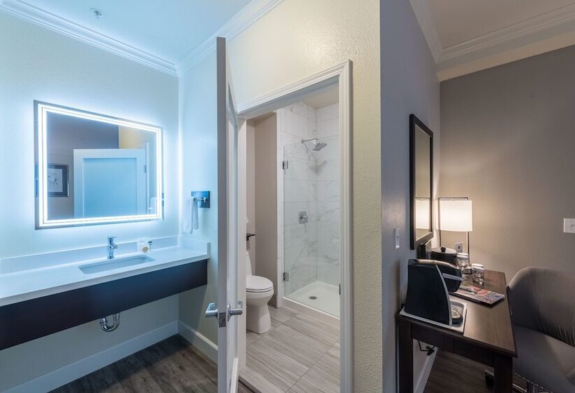 스탠다드 룸 킹사이즈 침대, Geyserville Inn