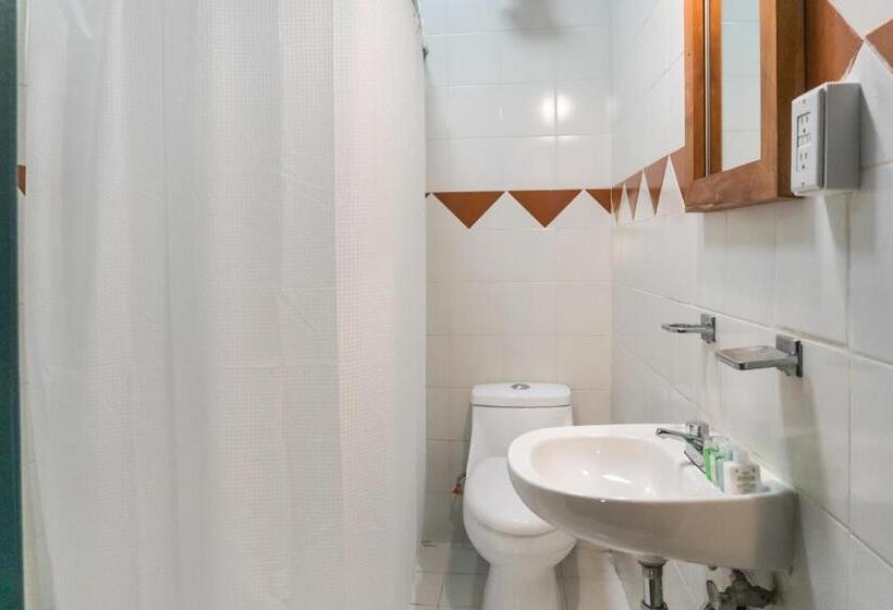 إستوديو ديلوكس, Selina Mexico City Downtown