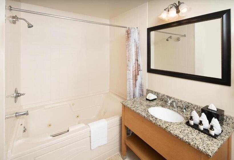 套房, Timber Ridge Lodge And Waterpark