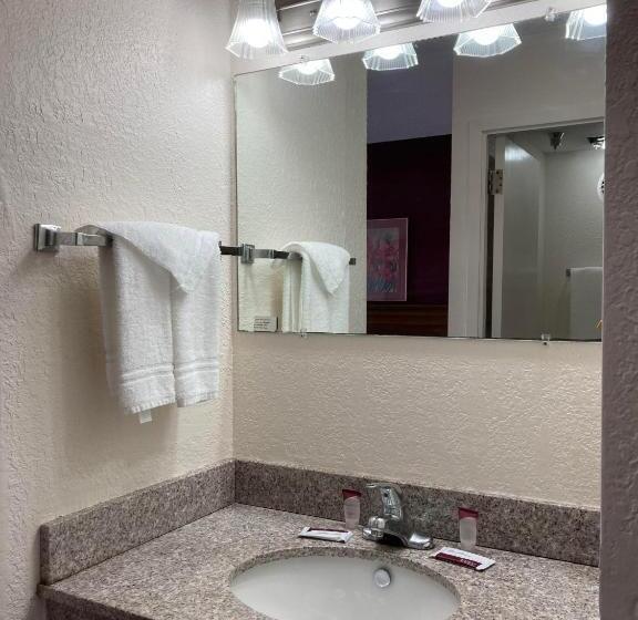 غرفة قياسية سرير كينج, Americourt