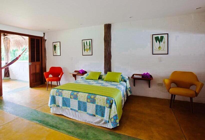 スイート, Cinaruco Caney