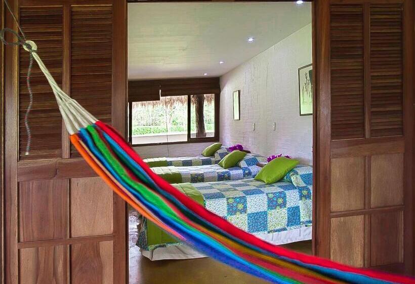 スタンダードトリプルルーム, Cinaruco Caney