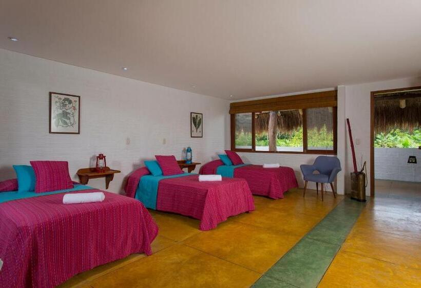 スタンダードトリプルルーム, Cinaruco Caney