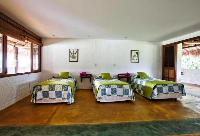 スタンダードトリプルルーム, Cinaruco Caney