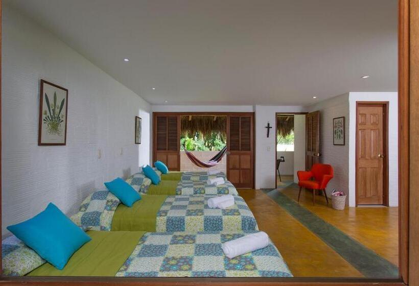 スタンダード4人部屋, Cinaruco Caney