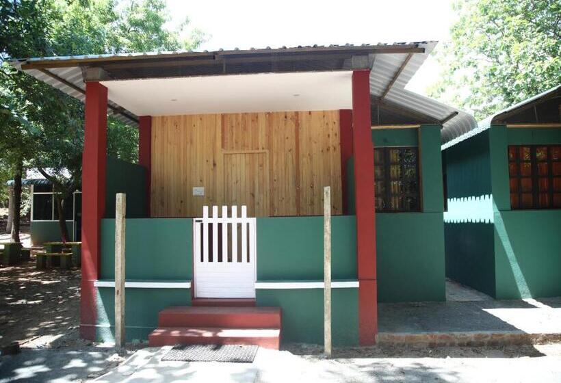 سوییت, Prince Park