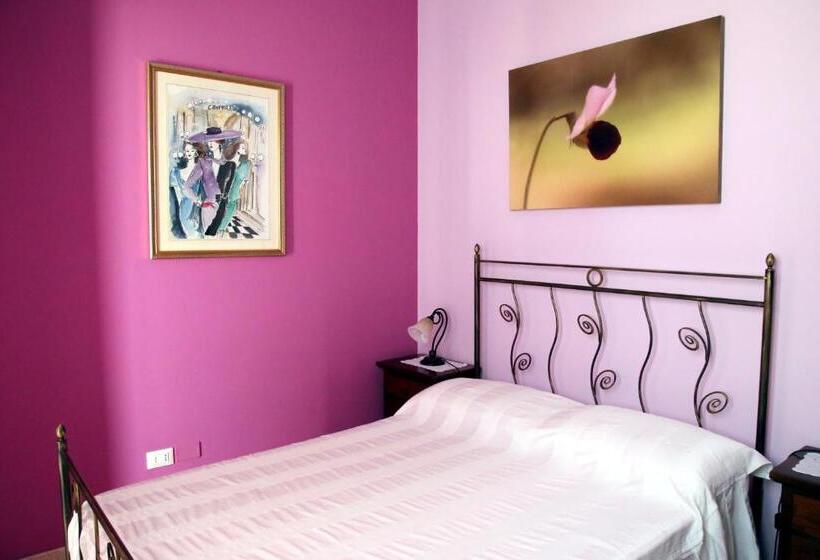 Номер Стандарт, B&b Borgosolare