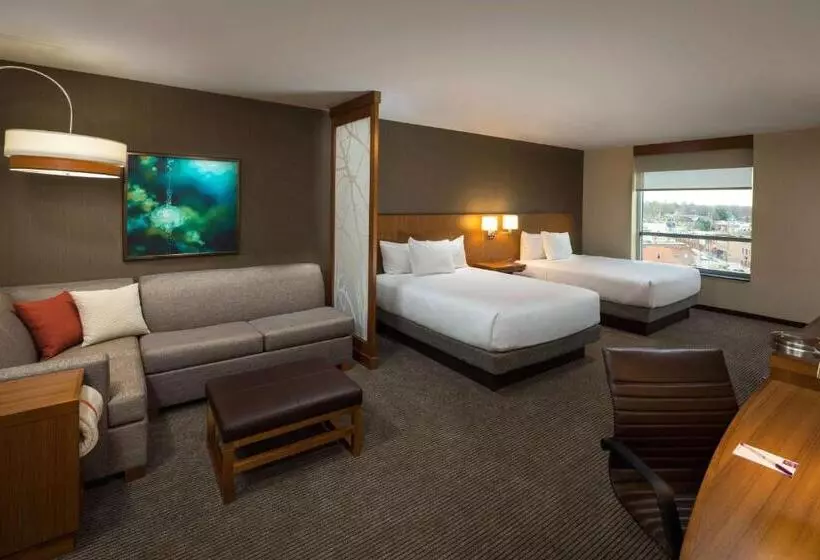 身障者適用クイーンサイズベッドルーム, Hyatt Place Bloomington / Normal
