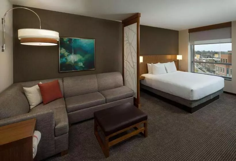 キングサイズベッドのスタンダードルーム, Hyatt Place Bloomington / Normal