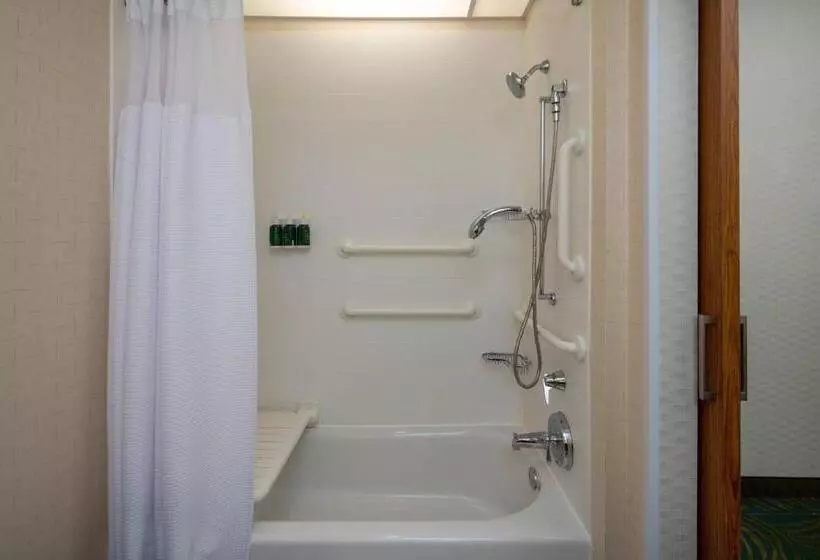 キングサイズベッドのスイートルーム, Springhill Suites By Marriott Nashville Vanderbilt/west End