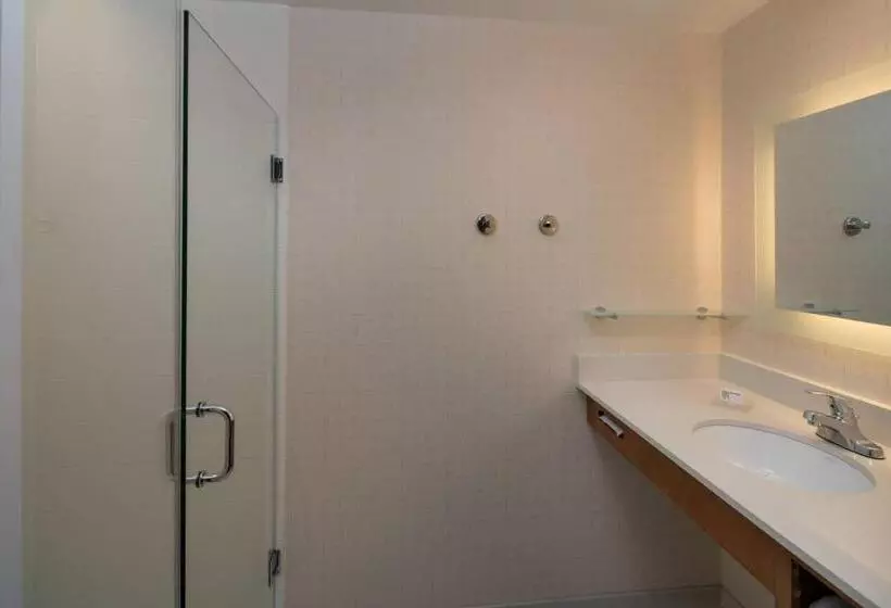 キングサイズベッドのスイートルーム, Springhill Suites By Marriott Nashville Vanderbilt/west End