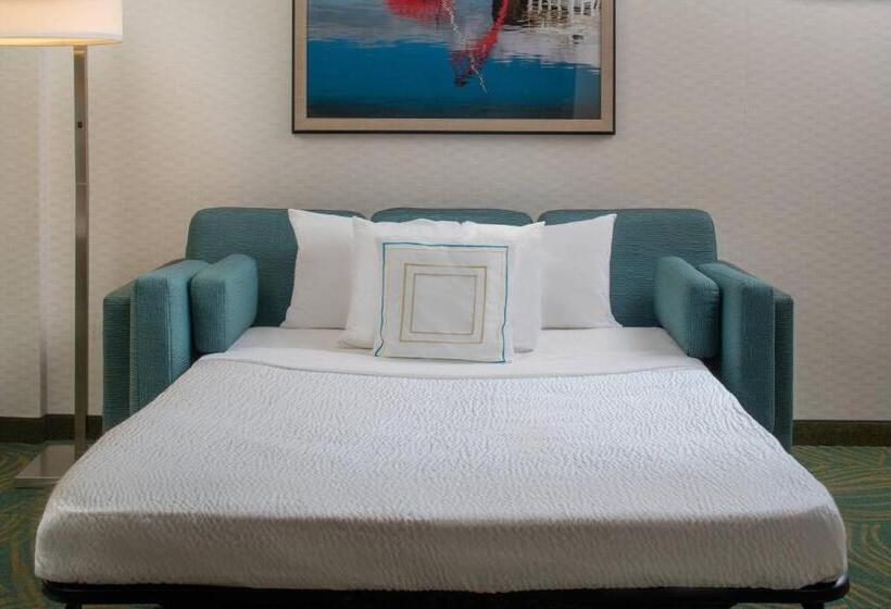 套房, Springhill Suites By Marriott Nashville Vanderbilt/west End