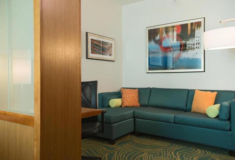 套房, Springhill Suites By Marriott Nashville Vanderbilt/west End