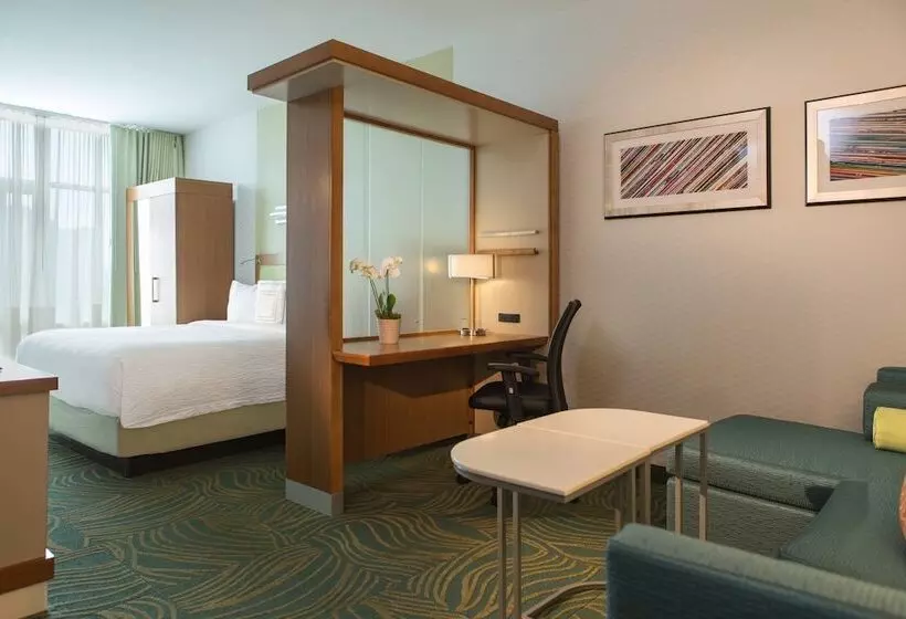 スイート, Springhill Suites By Marriott Nashville Vanderbilt/west End