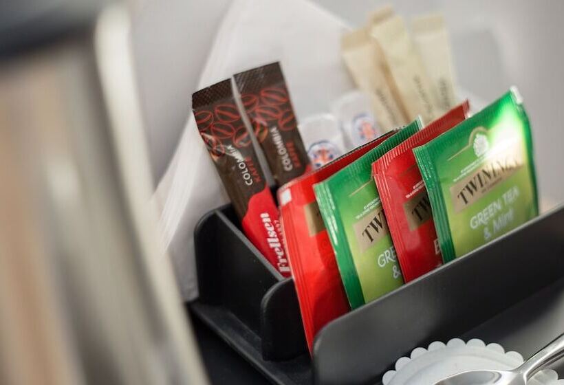 اتاق استاندارد با دسترسی به اسپا, Midgardur By Center Hotels