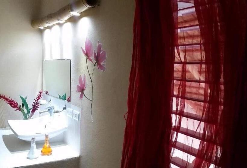 스탠다드 룸, Residencia El Balata