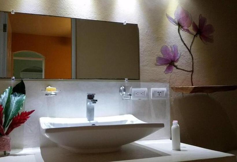 스탠다드 룸, Residencia El Balata