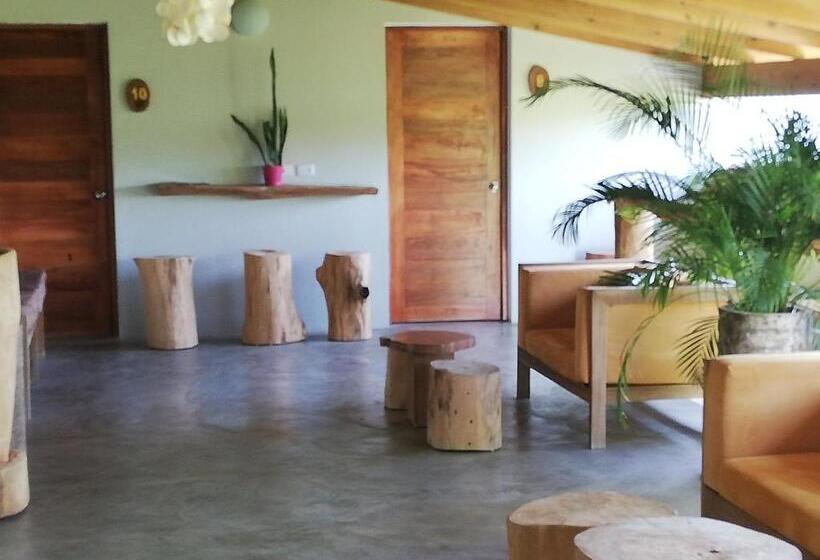 اتاق لوکس, Residencia El Balata