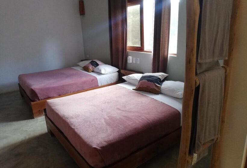اتاق استاندارد چهار تخته, Residencia El Balata