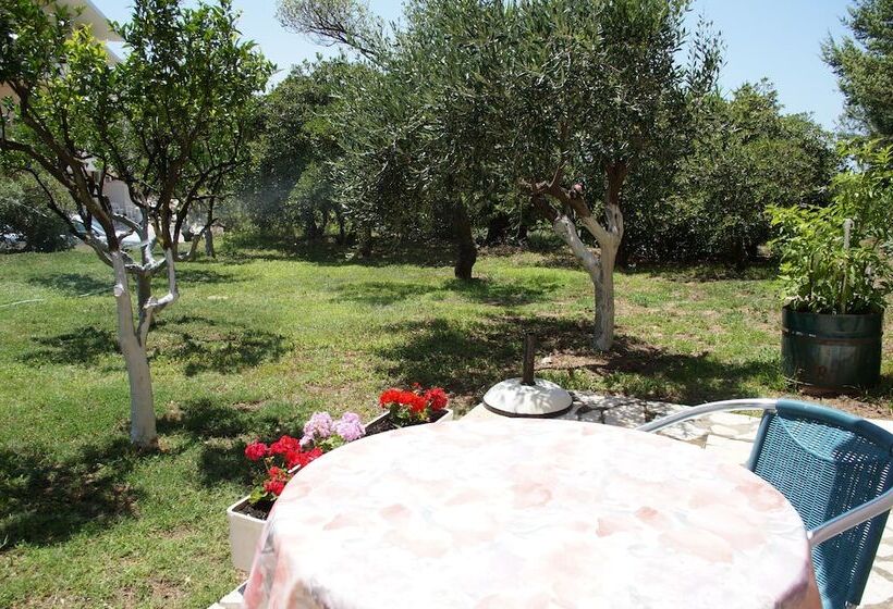 침실 1개 가든 전망 아파트, Akti Anastasia