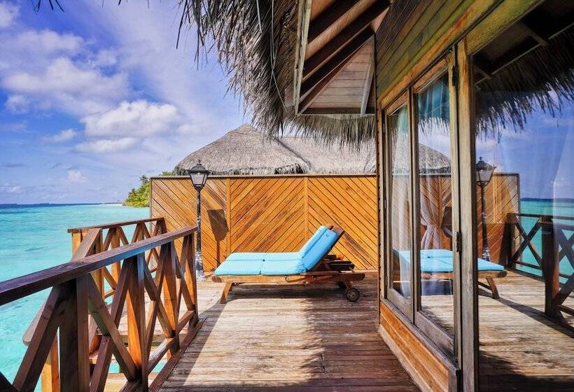 ویلای 1 خوابه, Fihalhohi Maldives