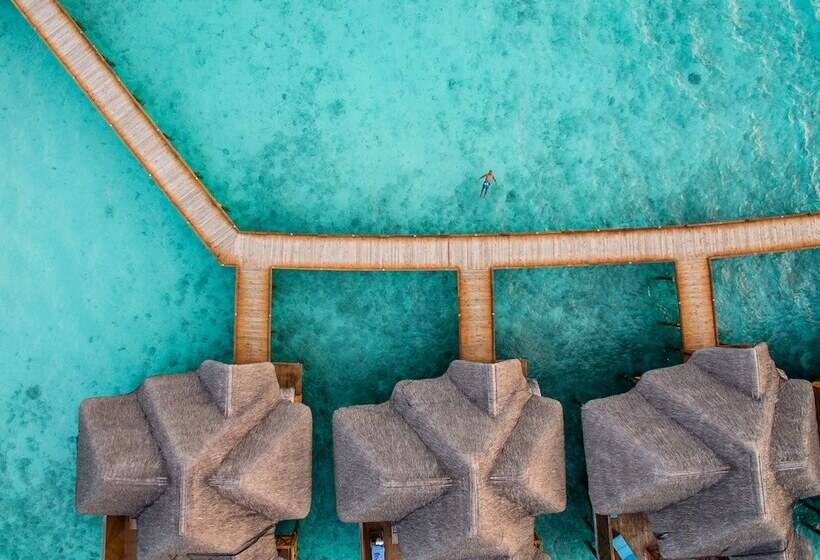 ویلای 1 خوابه, Fihalhohi Maldives