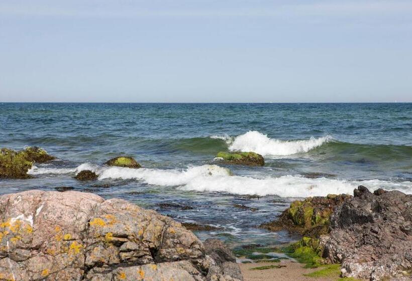 オーシャンビュースタンダードルーム, Friheden