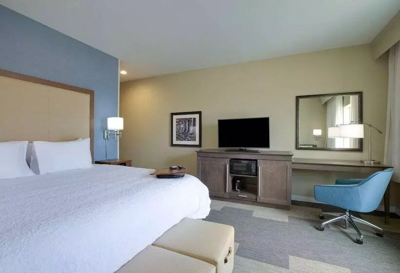 Standard-invahuone, Hampton Inn Snyder Tx