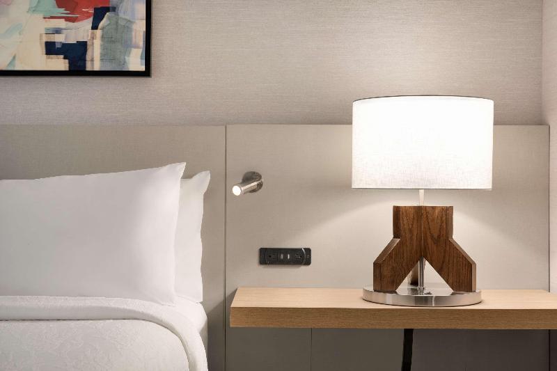 标准间, Hampton Inn Snyder Tx