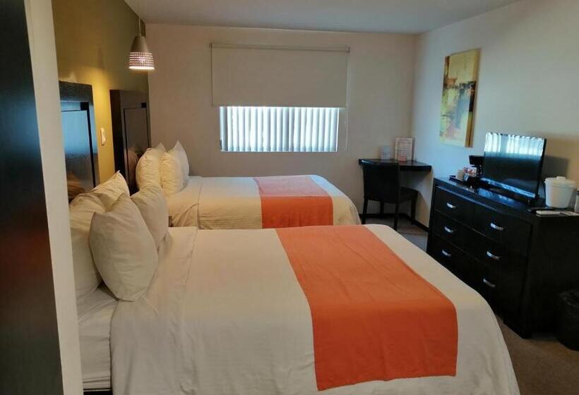 חדר סטנדרט לארבעה, Nuvo