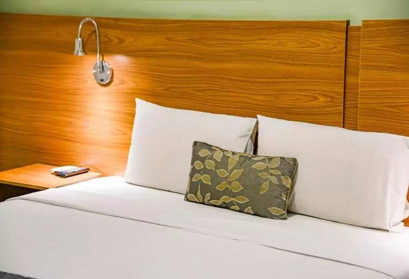 اتاق لوکس, Comfort Hotel Bauru