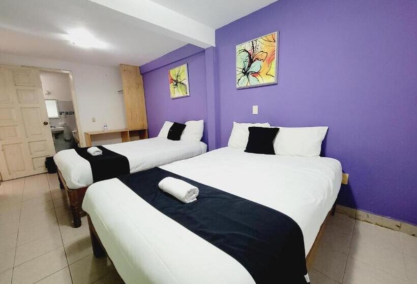 اتاق استاندارد, Dulce Luna