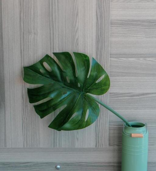 １ベッドルームのデラックスアパートメント, Epirus