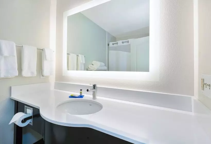 ハイドロマッサージバス付きスイート, Holiday Inn Express & Suites   Effingham, An Ihg
