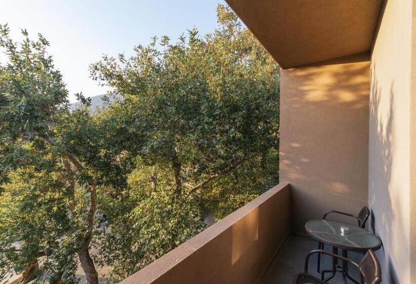 غرفة قياسية ثلاثية, Idi