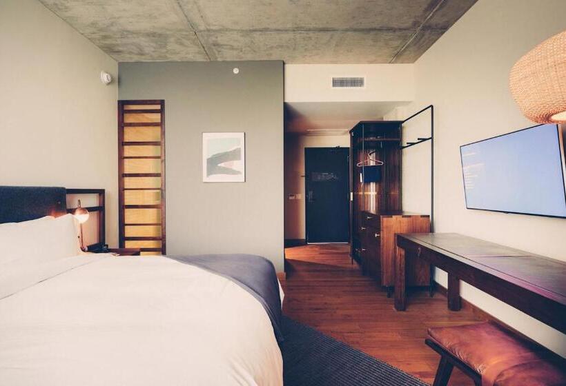 Büyük Çift Kişilik Yataklı Delüks Oda, South Congress