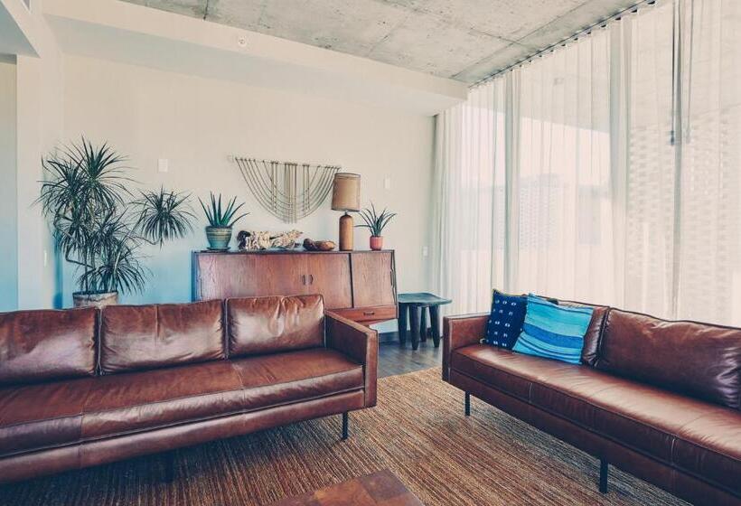 Suite with Terrace, South Congress