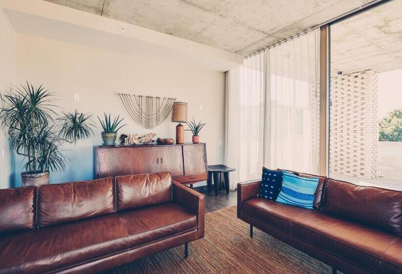 Suite with Terrace, South Congress