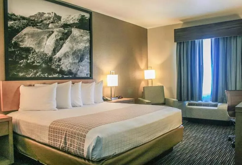 اتاق استاندارد با تخت بزرگ برای معلولان, Spark By Hilton Midland South
