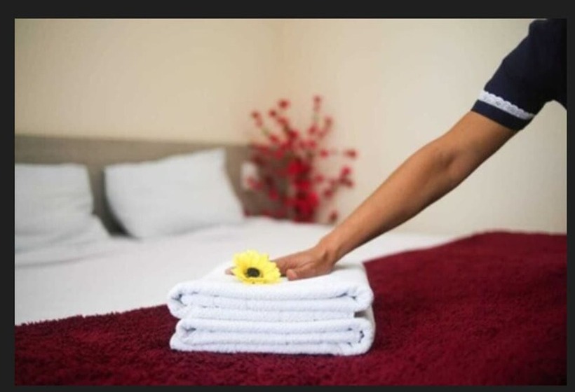 Номер Стандарт, Terra Preta