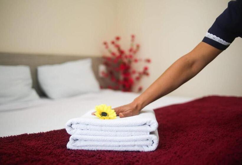 Номер Economy Индивидуальный, Terra Preta