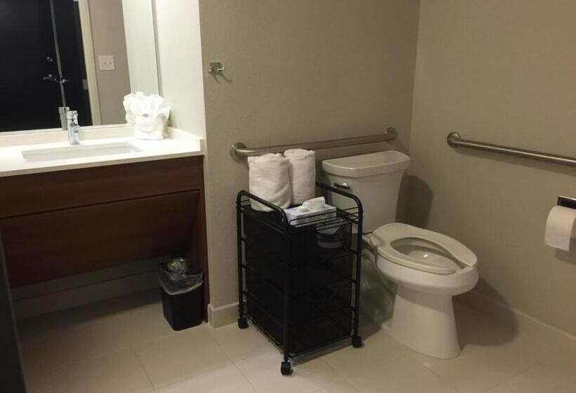 适合残疾人使用的标准间, Microtel Inn & Suites By Wyndham Sweetwater